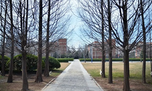 �����г���ר�������Կ�Ŀ