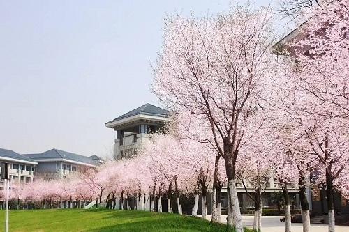 日照市成人专升本考试科目