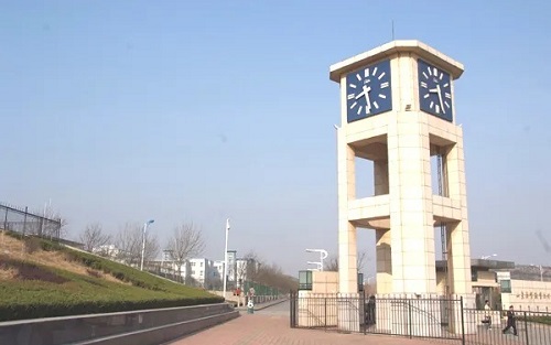 Ϋ���г��˴�ר���Կ�Ŀ