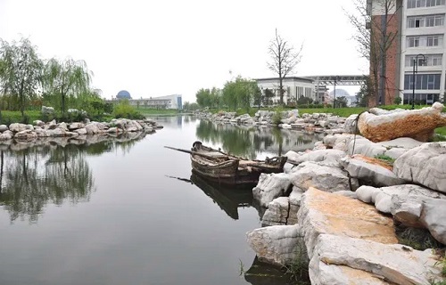 Ϋ���г��˴�ר���Կ�Ŀ