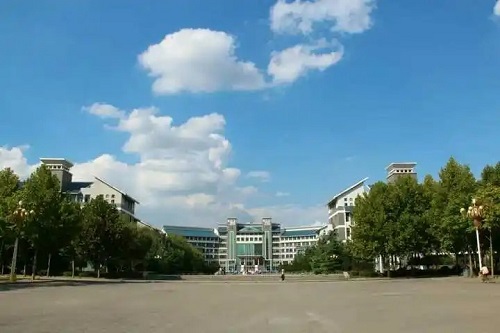 �����г��˴�ר���Կ�Ŀ