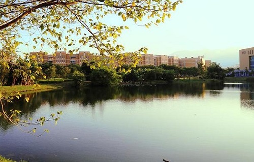 �����г��˴�ר���Կ�Ŀ