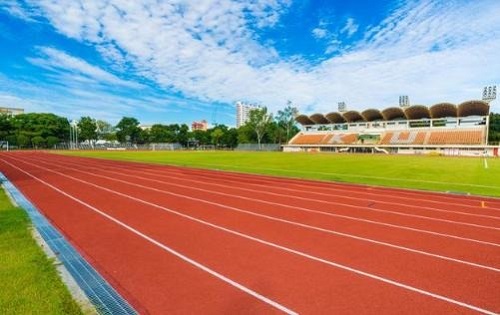 �����г��˴�ר���Կ�Ŀ