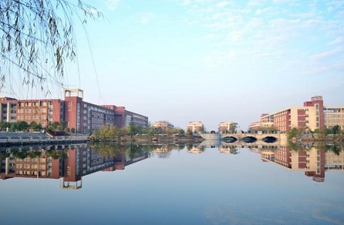 �����г��˴�ר���Կ�Ŀ