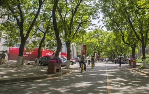 �����г��˴�ר���Կ�Ŀ