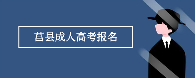 莒县成人高考报名入口官网地址