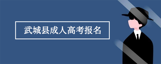 武城县成人高考报名入口官网地址