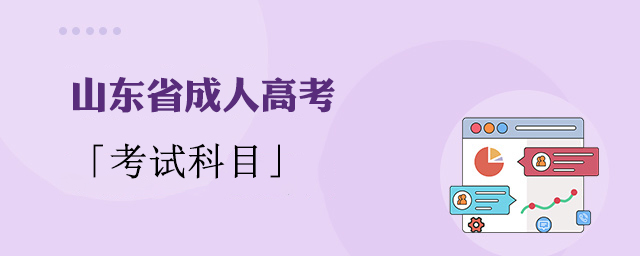 山东省成人高考考试科目