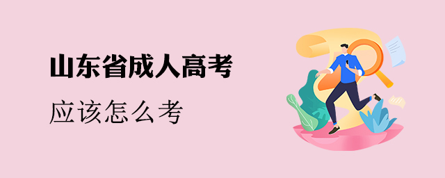 山东省成人高考怎么考