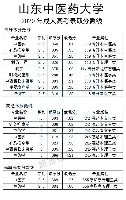 山东中医药大学成考录取分数线